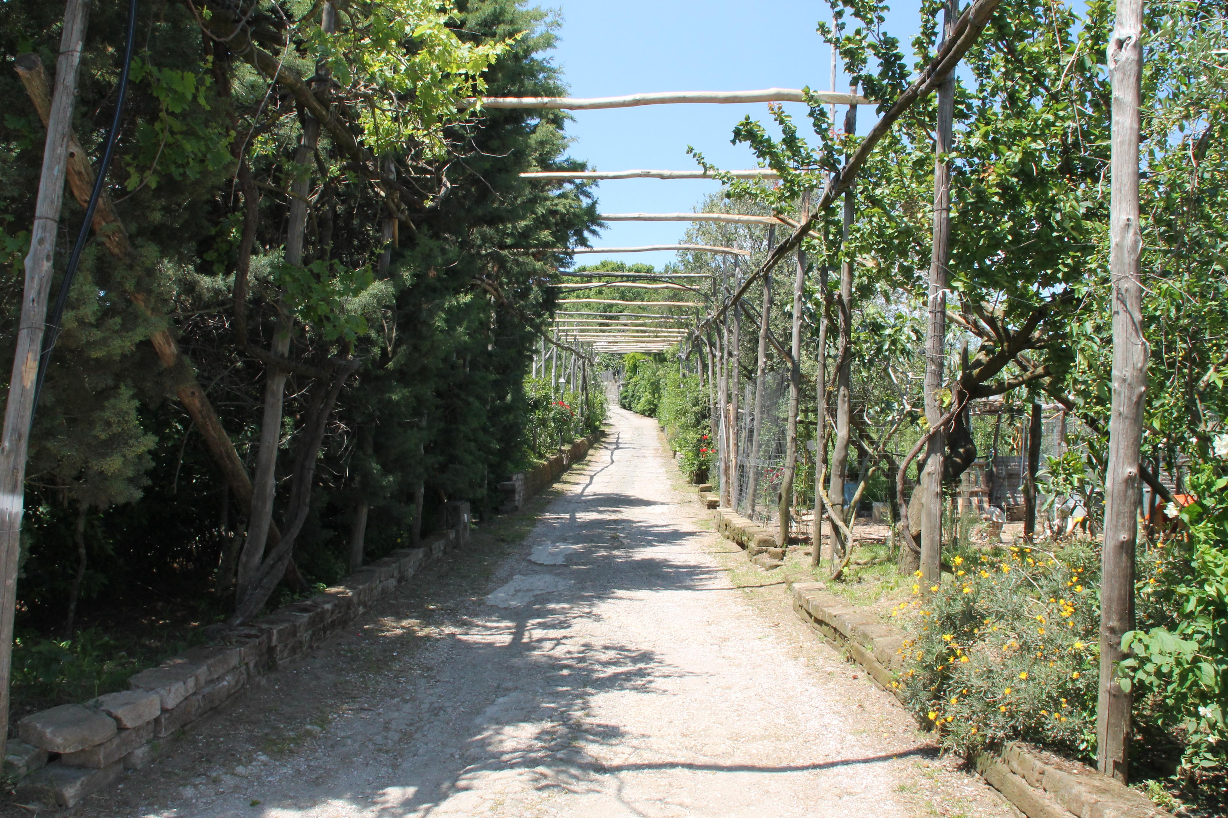 Agriturismo Piccolo Paradiso Piano di Sorrento Exterior photo