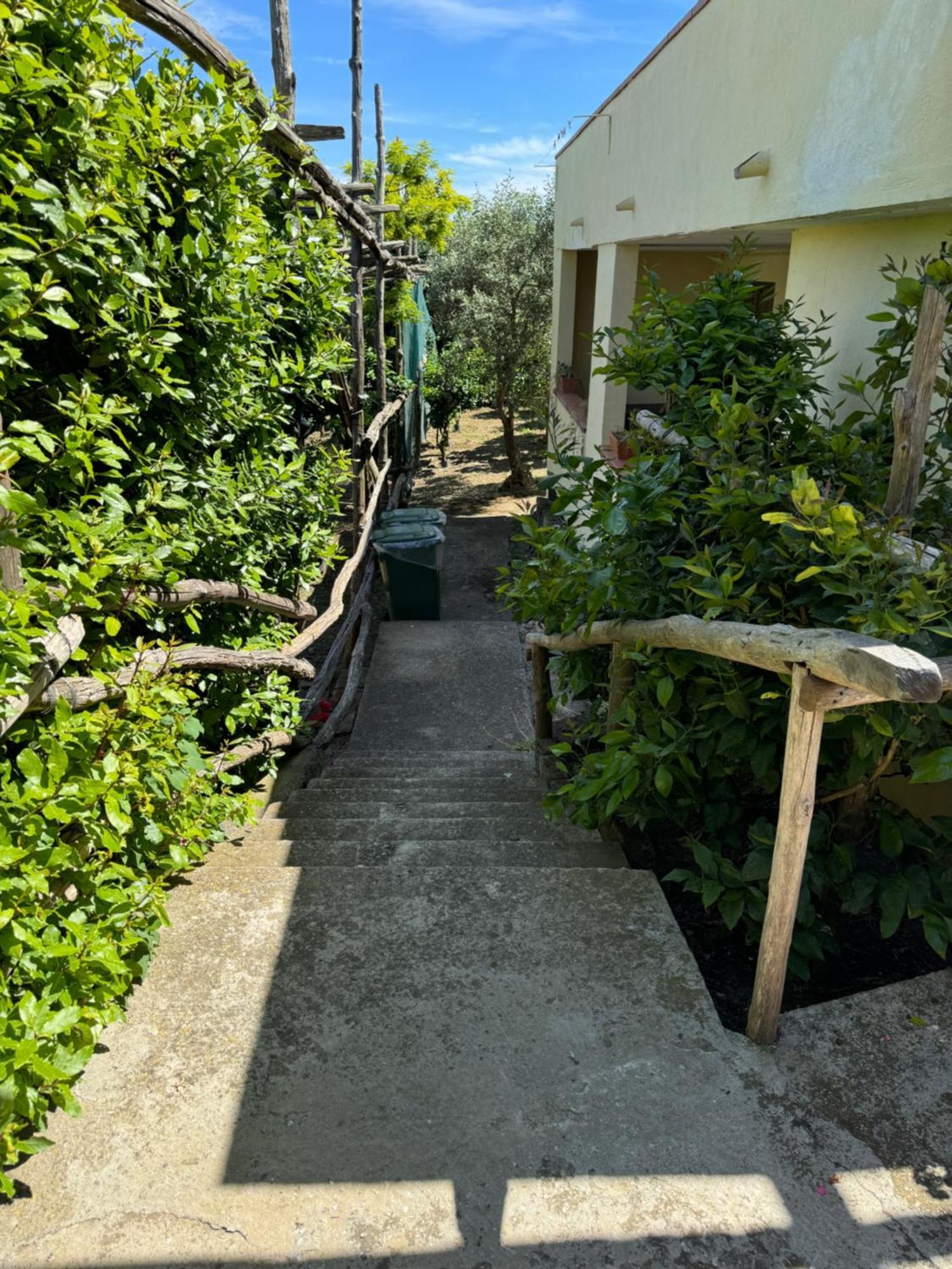 Agriturismo Piccolo Paradiso Piano di Sorrento Exterior photo