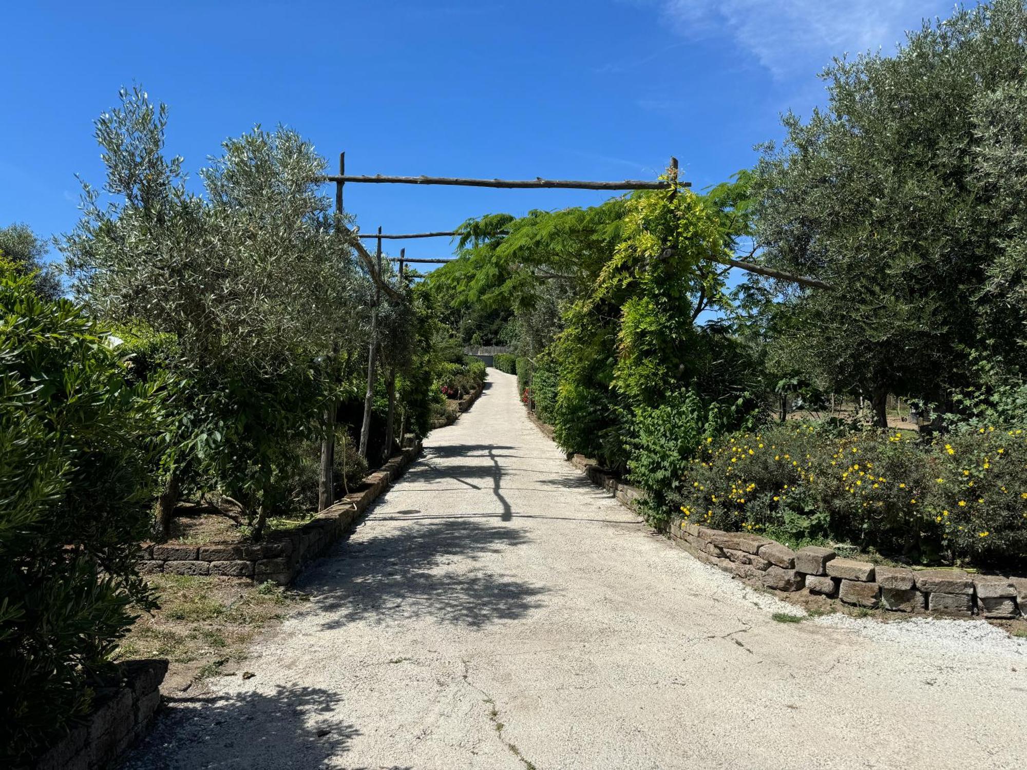 Agriturismo Piccolo Paradiso Piano di Sorrento Exterior photo