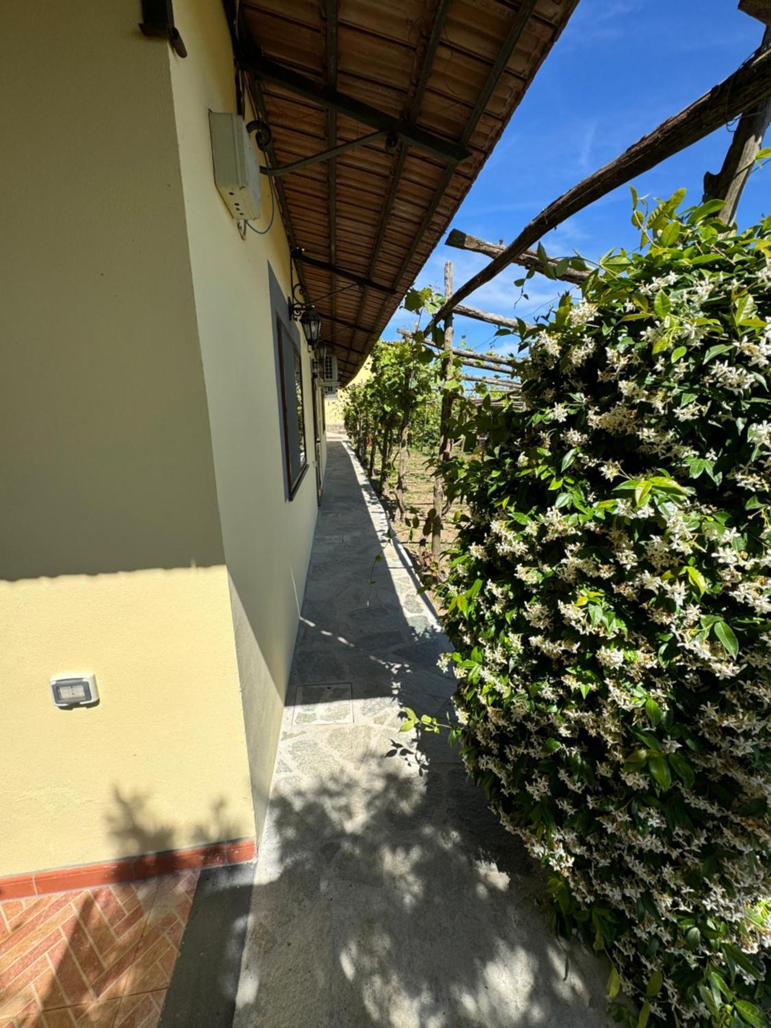 Agriturismo Piccolo Paradiso Piano di Sorrento Exterior photo