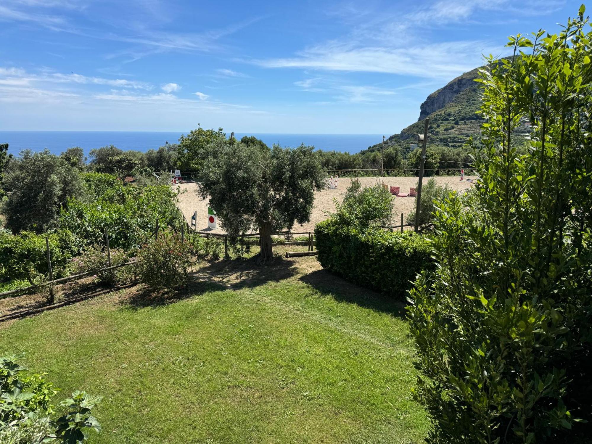 Agriturismo Piccolo Paradiso Piano di Sorrento Exterior photo
