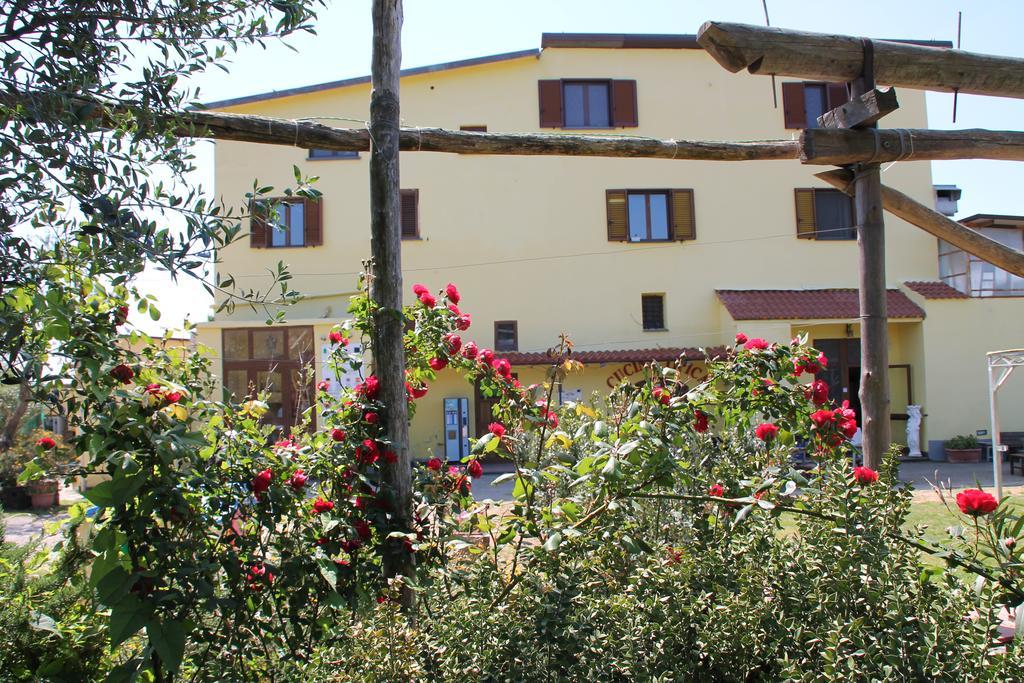 Agriturismo Piccolo Paradiso Piano di Sorrento Exterior photo