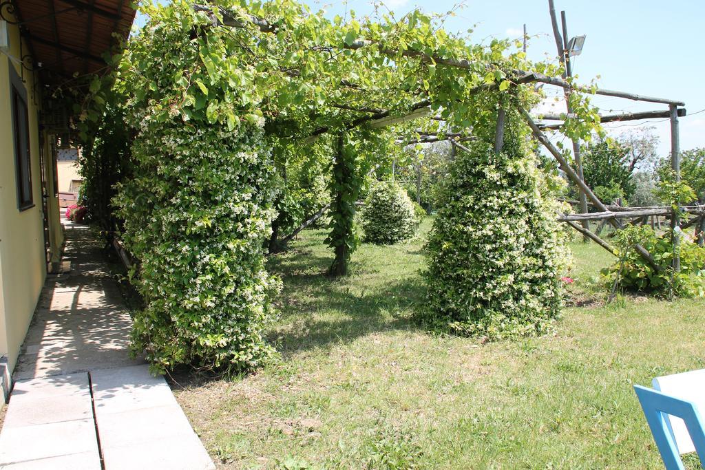Agriturismo Piccolo Paradiso Piano di Sorrento Exterior photo