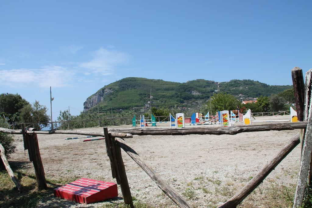 Agriturismo Piccolo Paradiso Piano di Sorrento Exterior photo