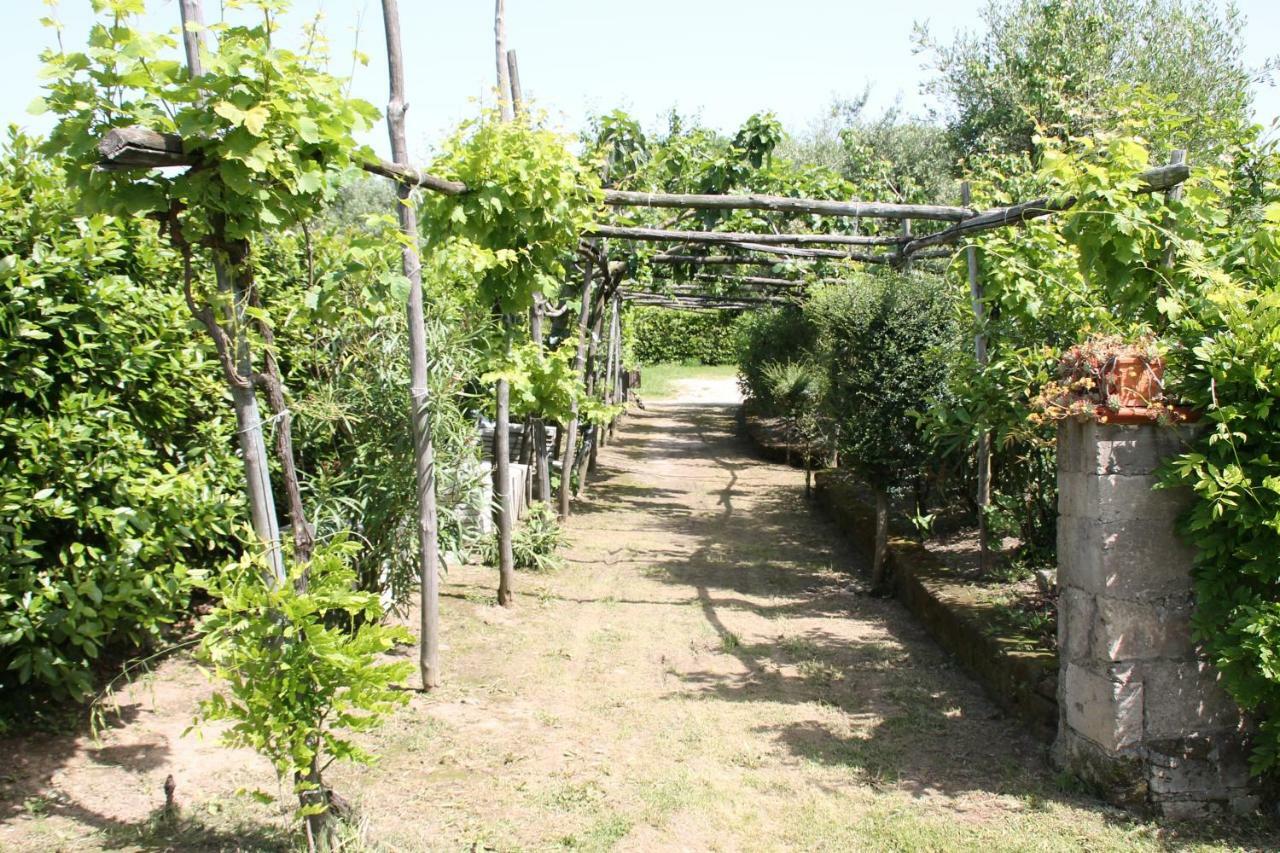 Agriturismo Piccolo Paradiso Piano di Sorrento Exterior photo