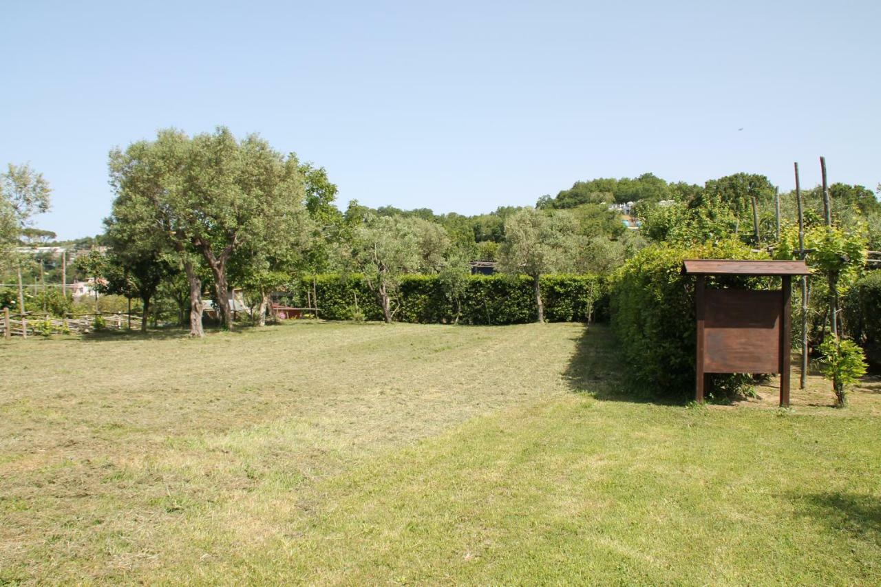 Agriturismo Piccolo Paradiso Piano di Sorrento Exterior photo